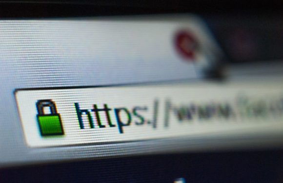 SSL Certificates: A Complete Guide for Small Businesses
