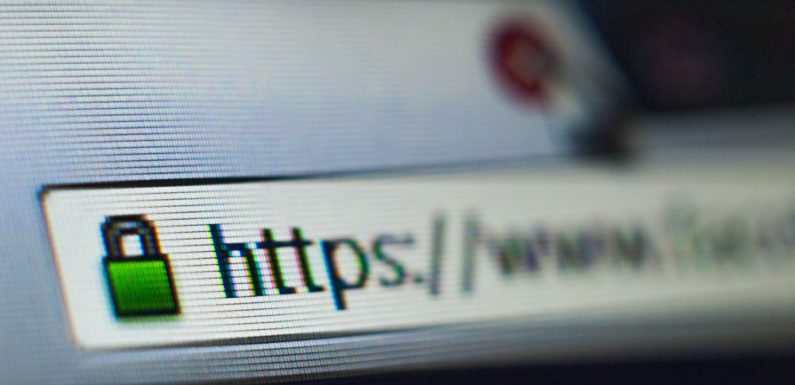 SSL Certificates: A Complete Guide for Small Businesses